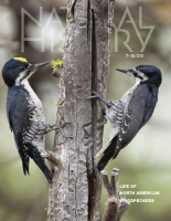 Natural History - July-August 2025.pdf
